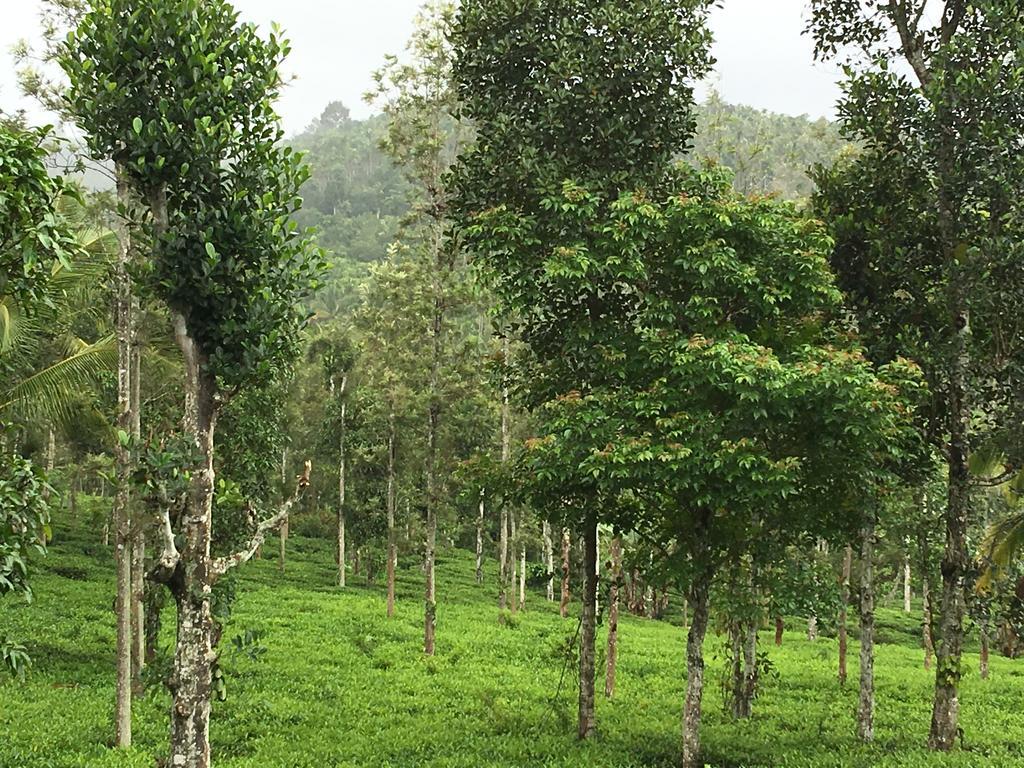 Harmony Farm Wayanad Βίλα Sultan Bathery Εξωτερικό φωτογραφία