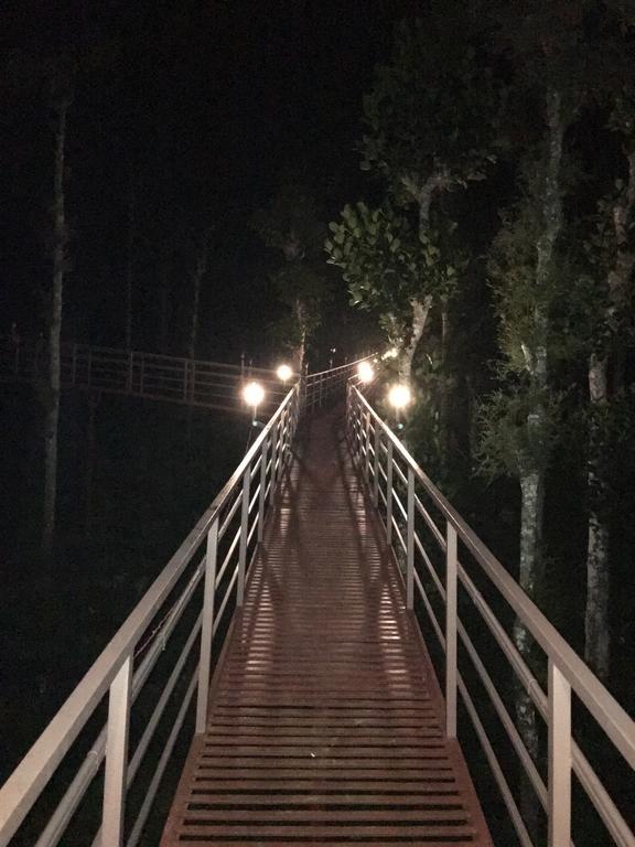 Harmony Farm Wayanad Βίλα Sultan Bathery Εξωτερικό φωτογραφία